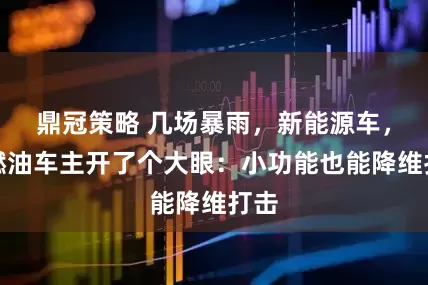 鼎冠策略 几场暴雨，新能源车，给燃油车主开了个大眼：小功能也能降维打击