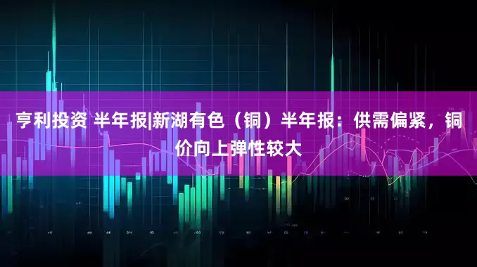 亨利投资 半年报|新湖有色（铜）半年报：供需偏紧，铜价向上弹性较大