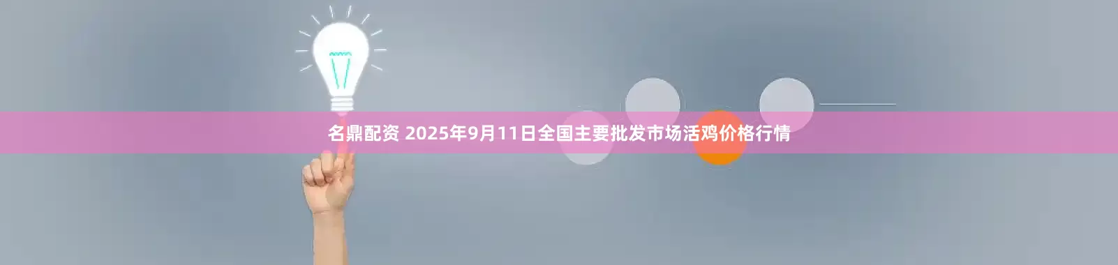 名鼎配资 2025年9月11日全国主要批发市场活鸡价格行情